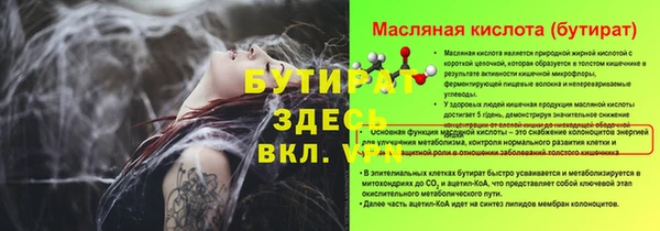 шишки Магас