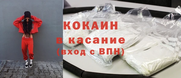 шишки Магас