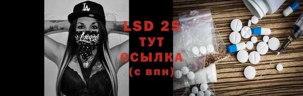 шишки Магас