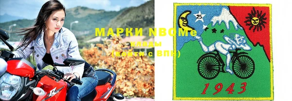 шишки Магас