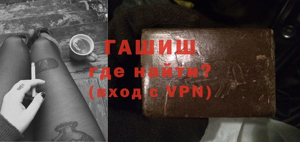 шишки Магас