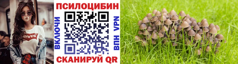 купить наркоту  Электроугли  Псилоцибиновые грибы ЛСД 